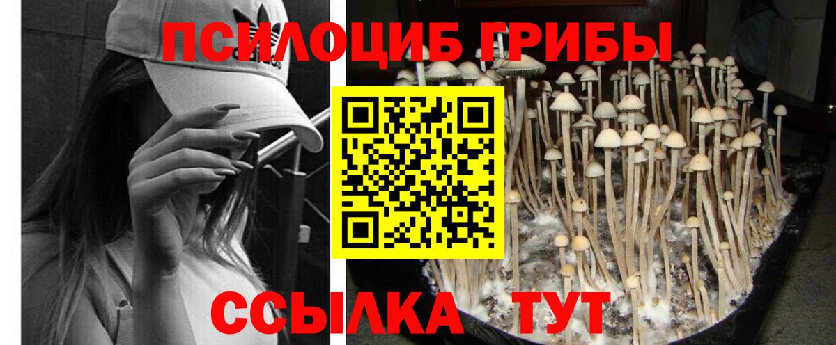 Галлюциногенные грибы прущие грибы Ялта