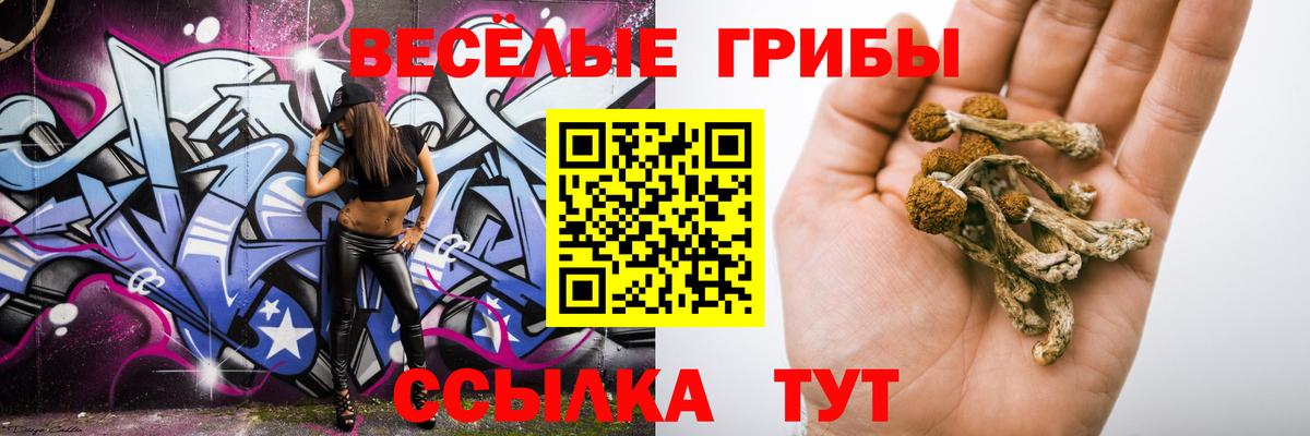 Ялта  Псилоцибиновые грибы прущие грибы  Галлюциногенные грибы Psilocybine cubensis  Вход с VPN 